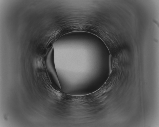 X0000092101202200709121538