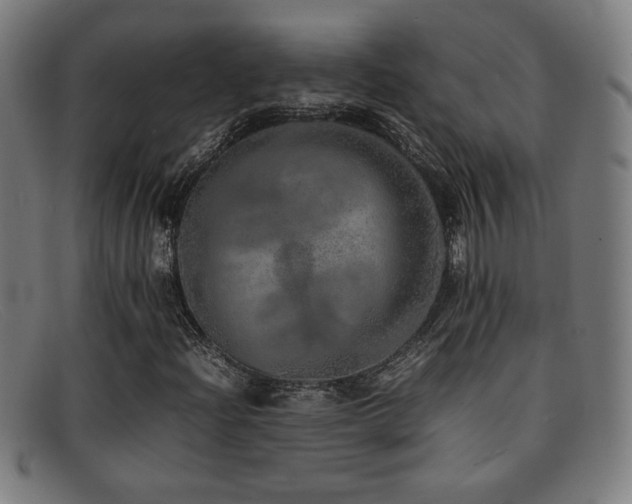 X0000092101204200709121538