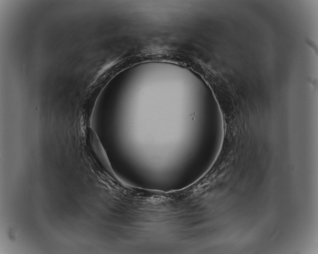 X0000092101206200709121538