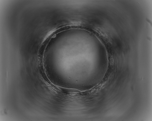 X0000092101208200709121538