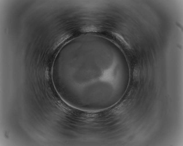 X0000092101209200709121538