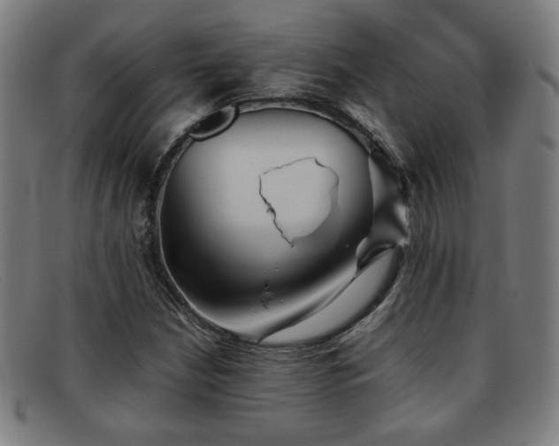 X0000092101210200709121538