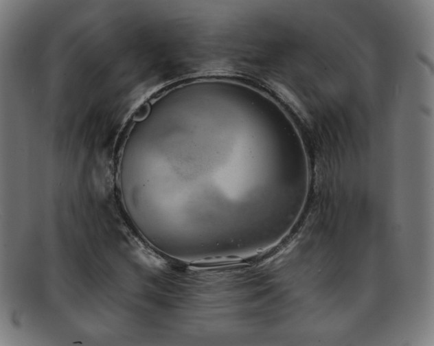 X0000092101212200709121538