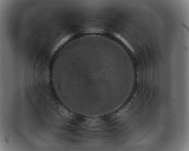 X0000092101213200709121538