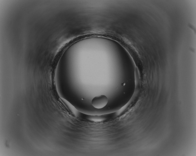 X0000092101214200709121538