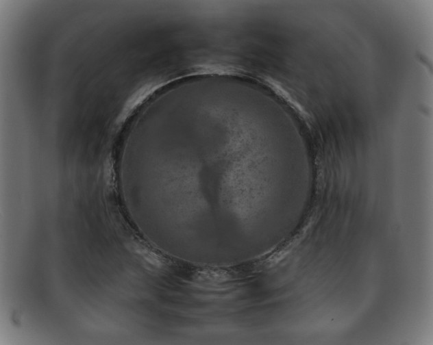 X0000092101215200709121538