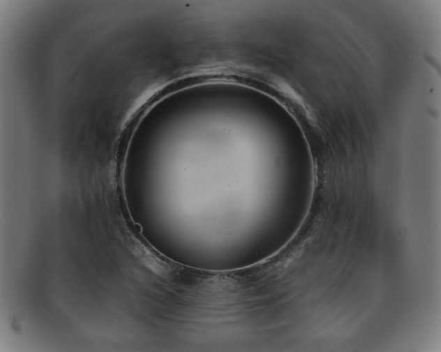 X0000092101216200709121538