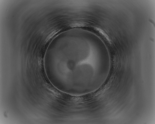 X0000092101217200709121538