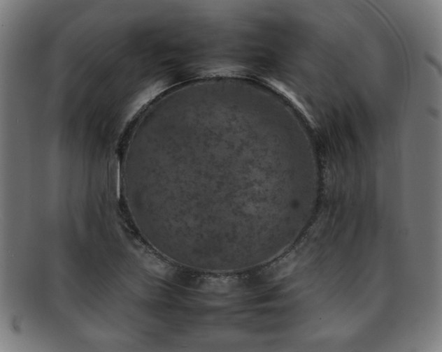X0000092101219200709121538