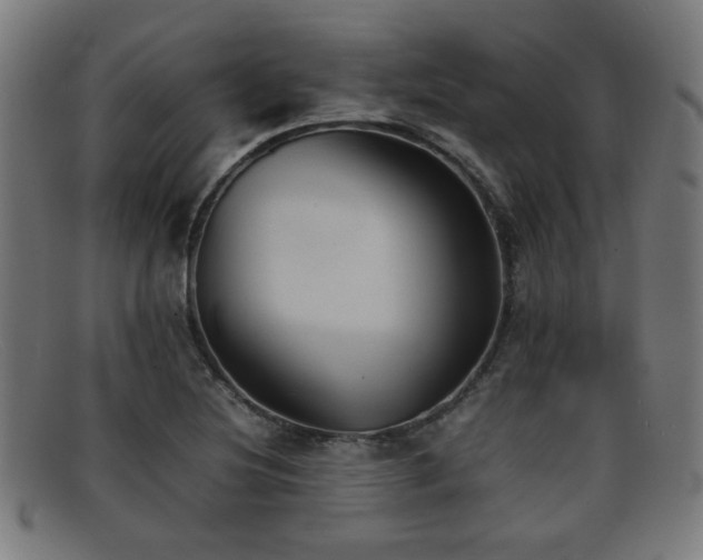 X0000092101220200709121538