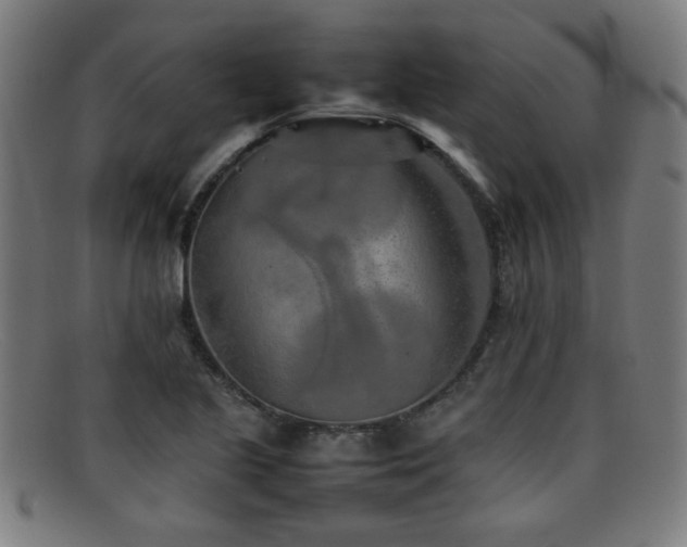 X0000092101221200709121538
