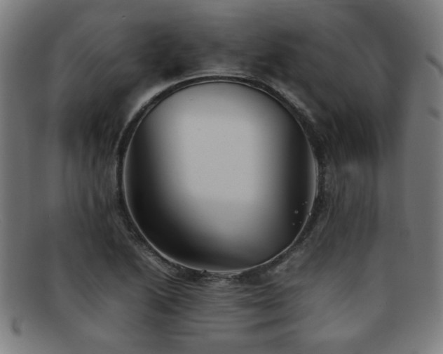 X0000092101222200709121538