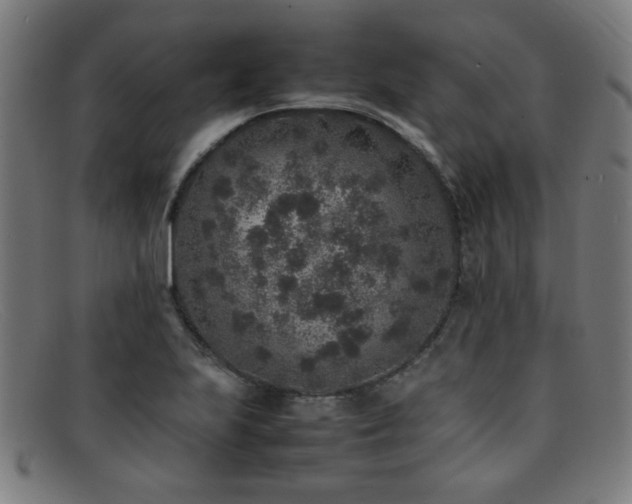 X0000092101223200709121538