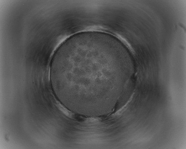 X0000092101224200709121538