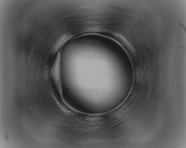 X0000092101225200709121538