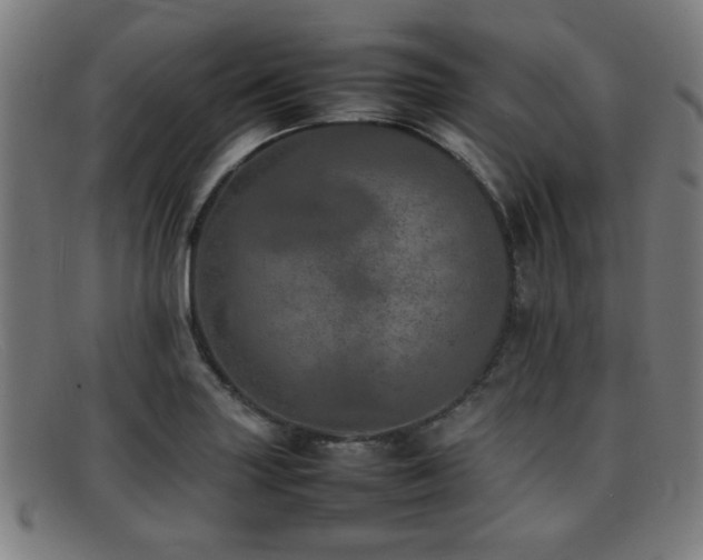 X0000092101227200709121538