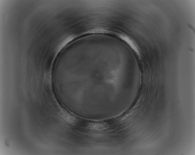 X0000092101229200709121538