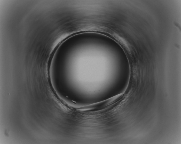 X0000092101230200709121538