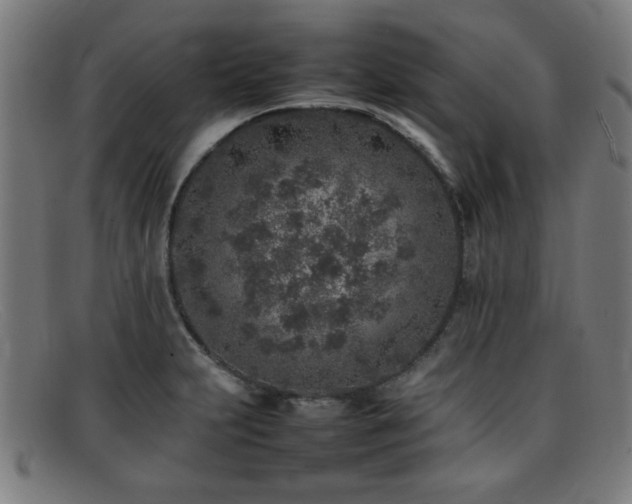 X0000092101231200709121538