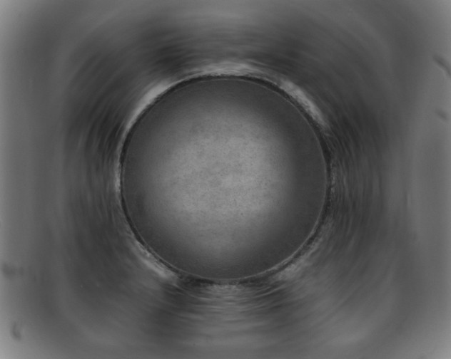 X0000092101232200709121538