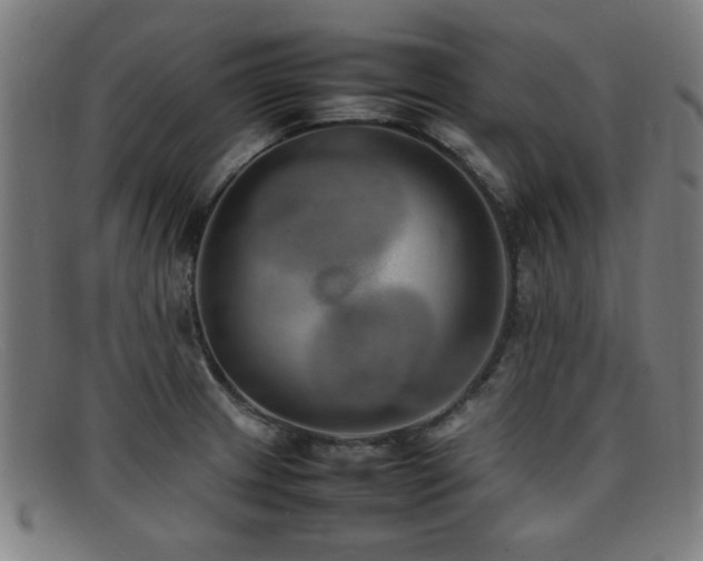 X0000092101233200709121538