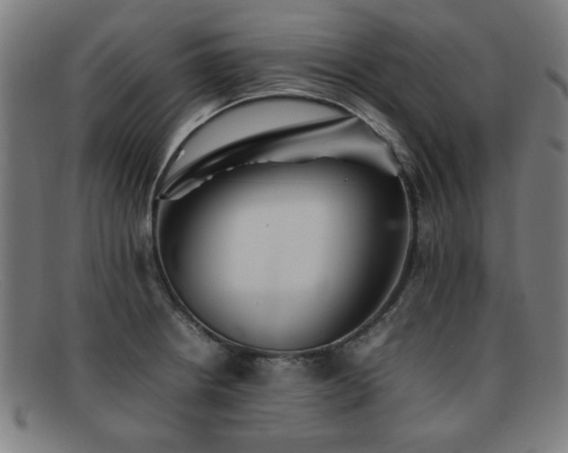 X0000092101234200709121538