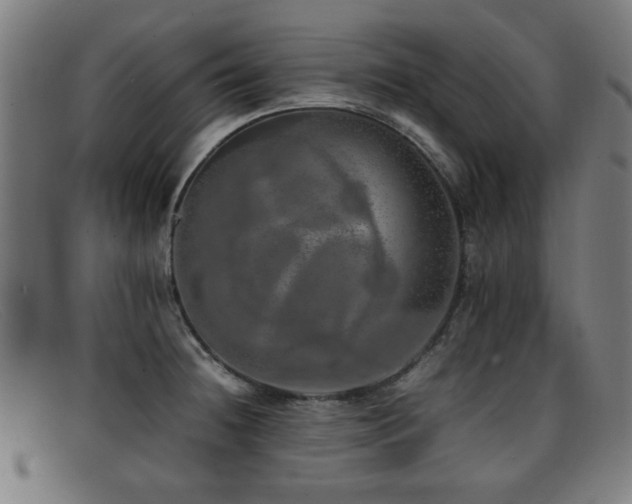 X0000092101236200709121538