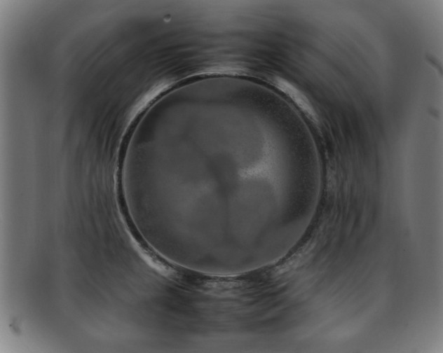X0000092101237200709121538