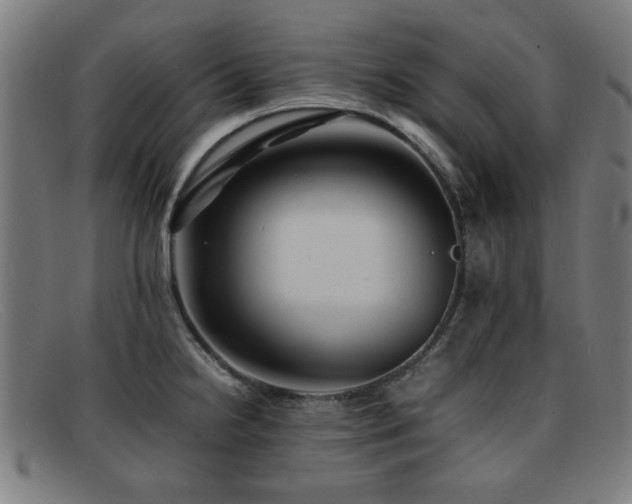 X0000092101238200709121538