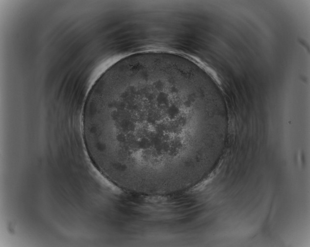 X0000092101239200709121538