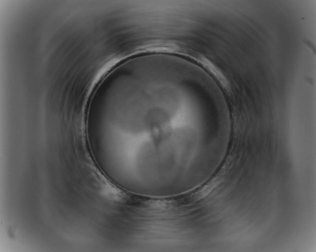 X0000092101240200709121538