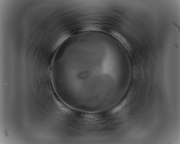 X0000092101241200709121538