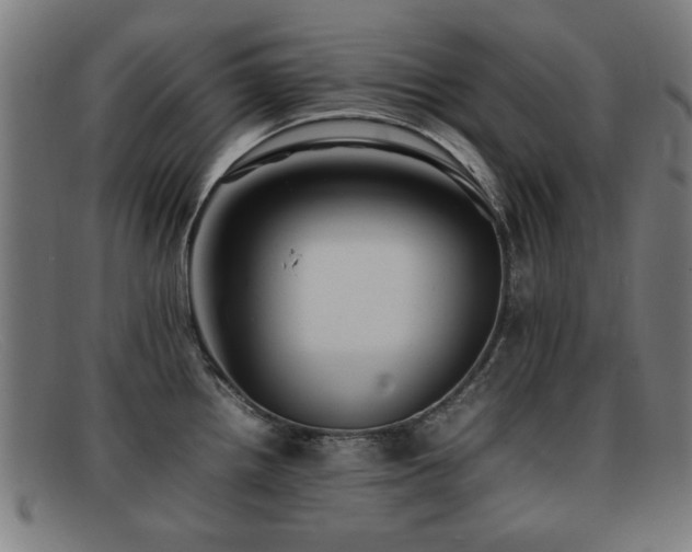 X0000092101242200709121538