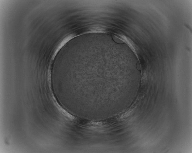 X0000092101243200709121538