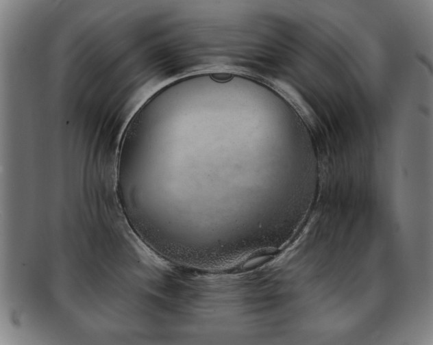 X0000092101244200709121538