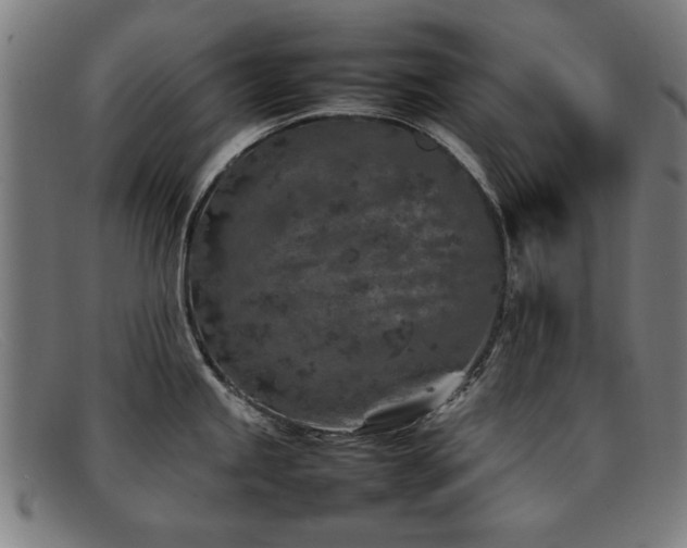 X0000092101245200709121538