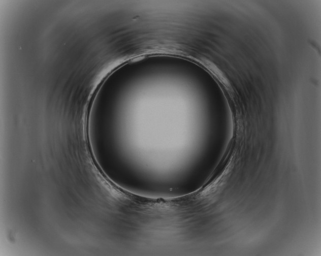 X0000092101246200709121538