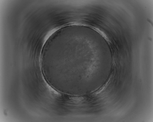 X0000092101247200709121538