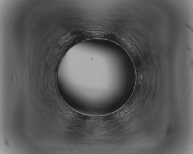 X0000092101249200709121538