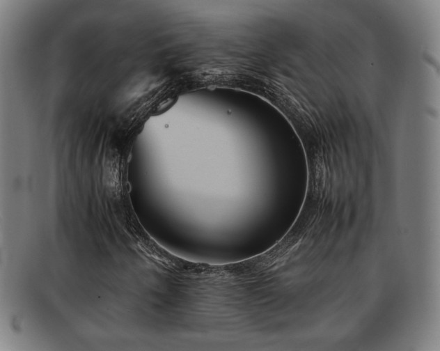 X0000092101250200709121538