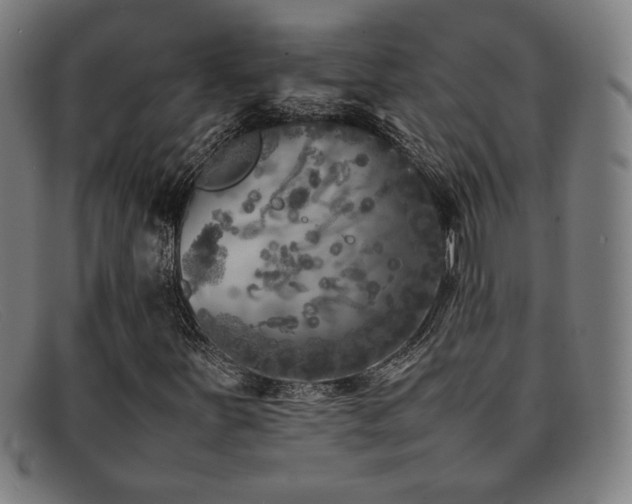 X0000092101251200709121538