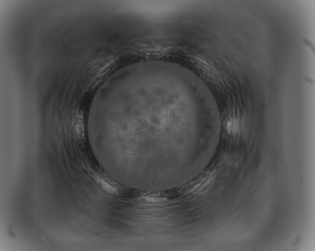 X0000092101252200709121538