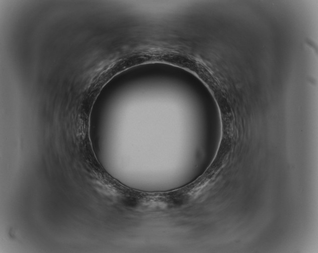 X0000092101253200709121538