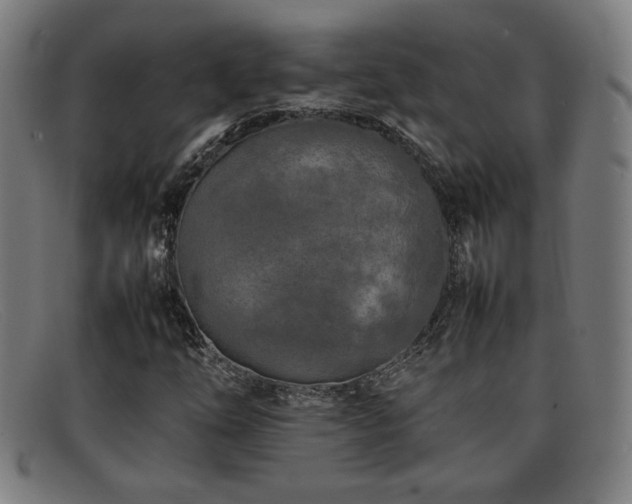 X0000092101254200709121538