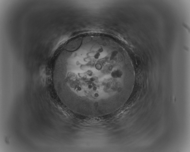 X0000092101255200709121538