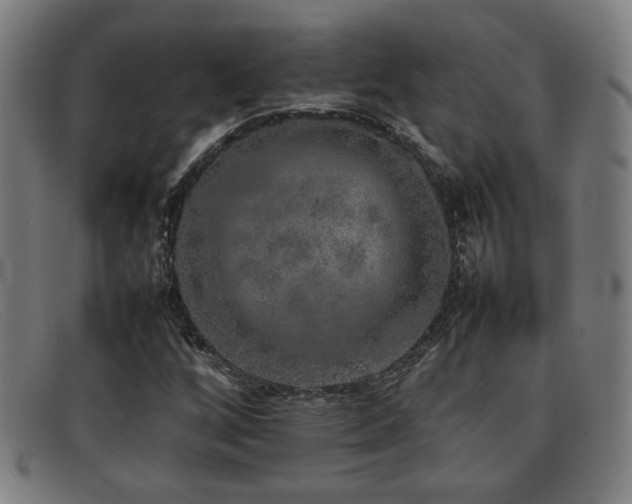 X0000092101256200709121538