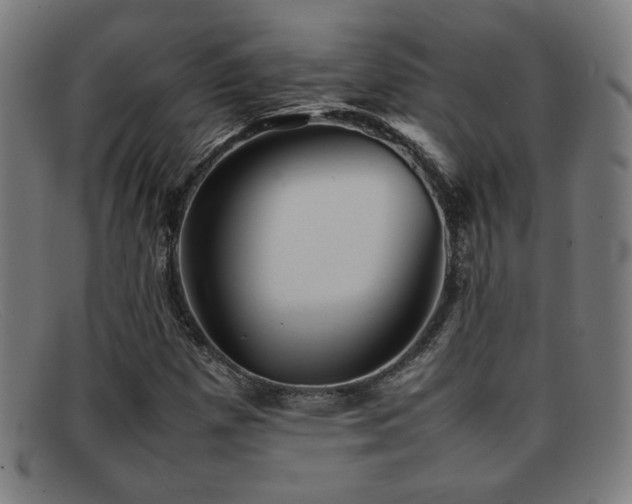 X0000092101257200709121538