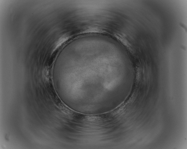 X0000092101258200709121538