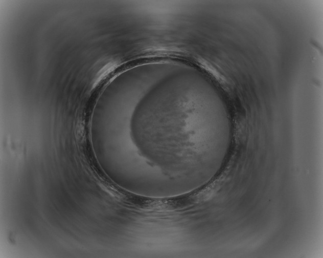 X0000092101259200709121538