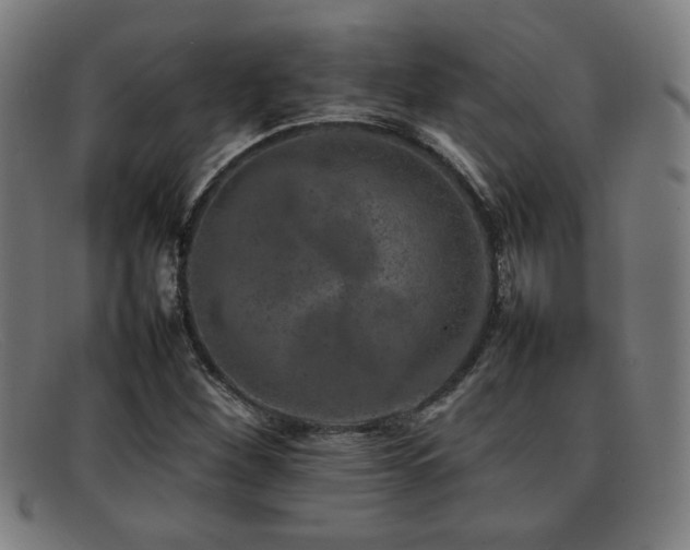 X0000092101260200709121538